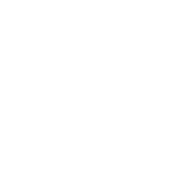Search