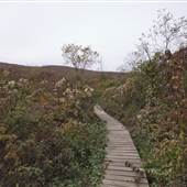 Appalachian Trail Entrance, Tryingham