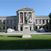 Museum of Fine Arts