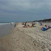 Nauset Beach