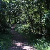 Greenwood Park