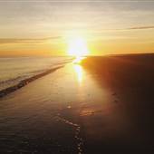 Crane Beach