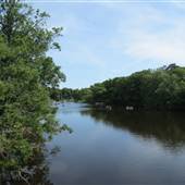 The Ipswich River