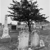 Provincetown Cemetery