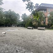 Pacific Field