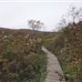 Appalachian Trail Entrance, Tryingham