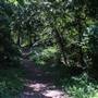 Greenwood Park
