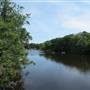 The Ipswich River