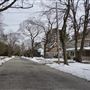 Palmer Avenue Neighborhood