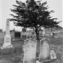Provincetown Cemetery