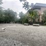 Pacific Field