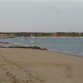 Wellfleet Harbor