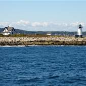 Straitsmouth Island Light