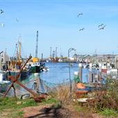 Menemsha Harbor