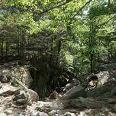 Purgatory Chasm (Summer)