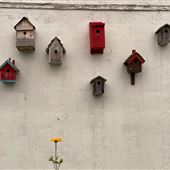 Provincetown