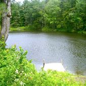Crane Lake
