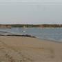 Wellfleet Harbor