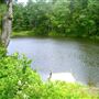 Crane Lake