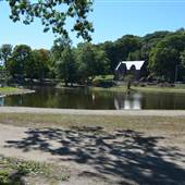 Elm Park, Worcester