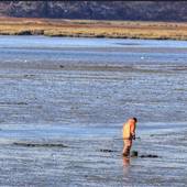 Duxbury Beach