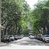 Canal St Area