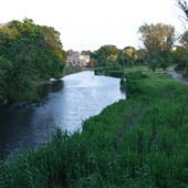 Fenway Victory Gardens