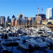 Constitution Marina
