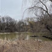 Hall's Pond Sanctuary