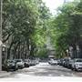 Canal St Area