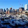 Constitution Marina
