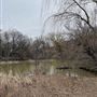 Hall's Pond Sanctuary