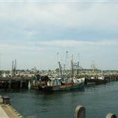 Provincetown Marina
