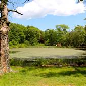 Pine Banks Park