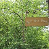 Bug Hill Farm