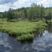 Pearl Hill State Park