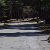 Indian Pipe Lane