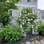 Lynnfield Home