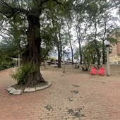 The Grove at Charlesgate Park
