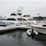 Newburyport Harbor Marina