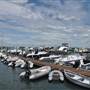Earl's Marina, Fairhaven
