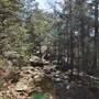 Purgatory Chasm