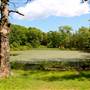 Pine Banks Park