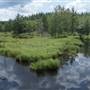 Pearl Hill State Park