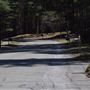 Indian Pipe Lane