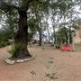 The Grove at Charlesgate Park