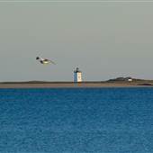 Long Point Light, Provincetown