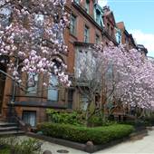 Commonwealth and Marlborough Streets, Back Bay