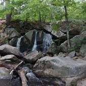 Willard Brook State Forest