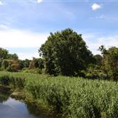 The Back Bay Fens